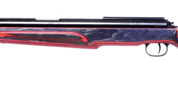 DIANA AIRKING 54 PRO LAMINATED AIR RIFLE